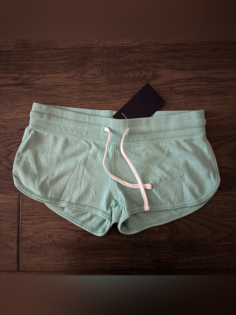 brandy melville teal marcie sweatshorts